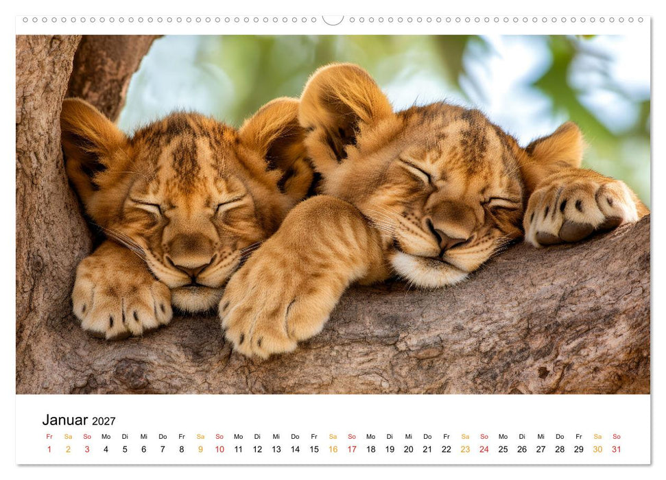 Wenn Tierchen träumen (CALVENDO Premium Wandkalender 2027)