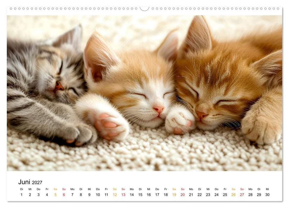 Wenn Tierchen träumen (CALVENDO Premium Wandkalender 2027)