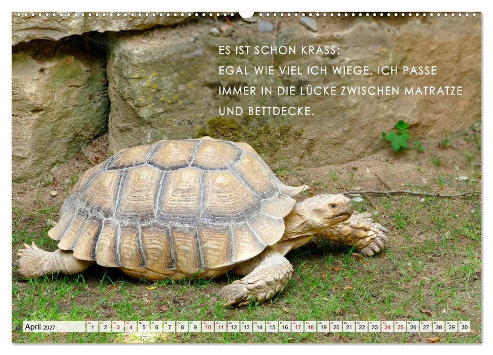 Müde, faul und arbeitsscheu (CALVENDO Wandkalender 2027)