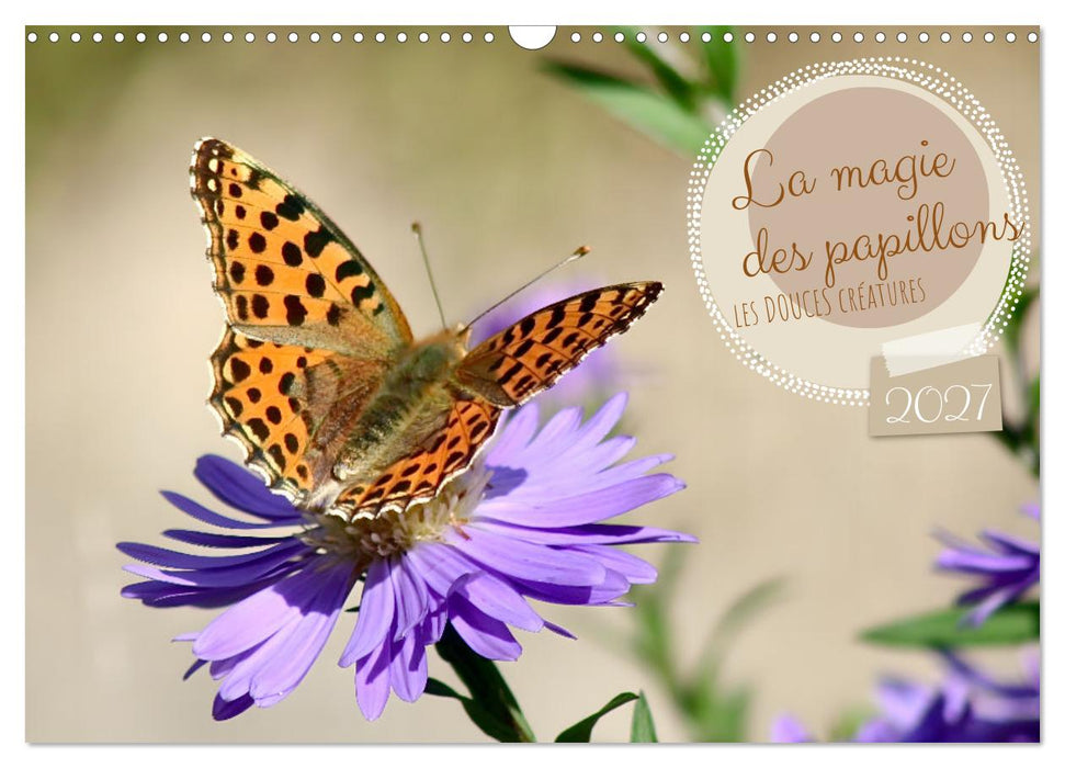 LA MAGIE DES PAPILLONS (CALVENDO Calendrier mensuel 2027)