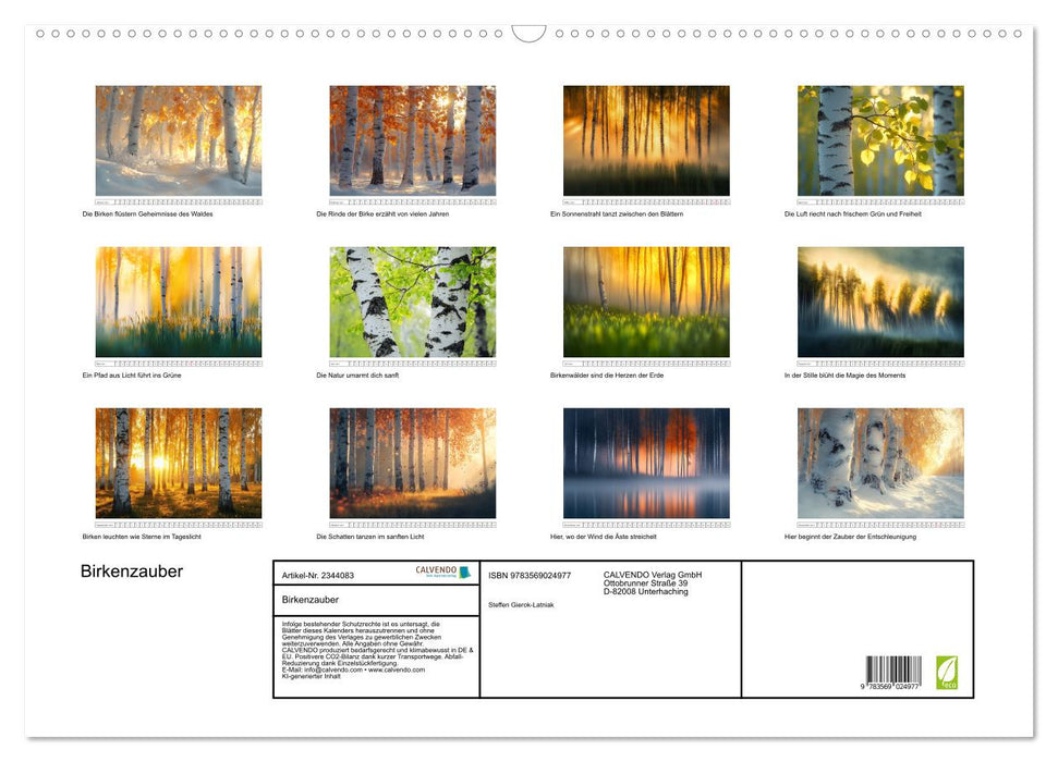 Birkenzauber (CALVENDO Wandkalender 2027)