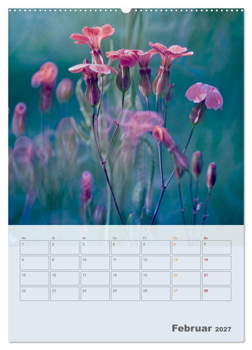Magie im Garten (CALVENDO Premium Wandkalender 2027)