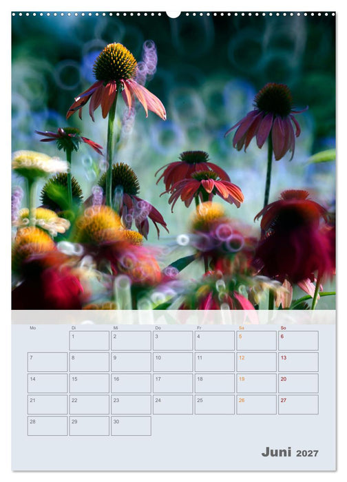 Magie im Garten (CALVENDO Premium Wandkalender 2027)