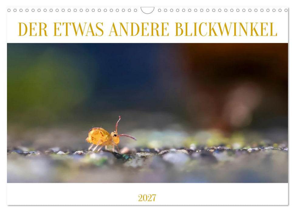 Der etwas andere Blickwinkel (CALVENDO Wandkalender 2027)