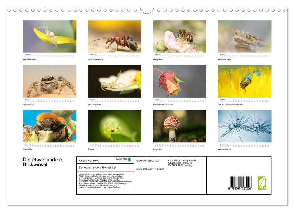 Der etwas andere Blickwinkel (CALVENDO Wandkalender 2027)