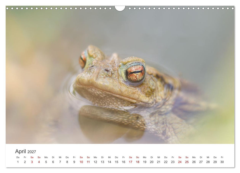 Der etwas andere Blickwinkel (CALVENDO Wandkalender 2027)