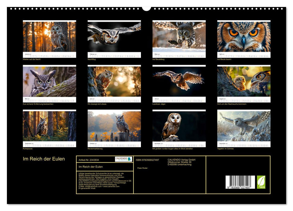 Im Reich der Eulen (CALVENDO Premium Wandkalender 2027)