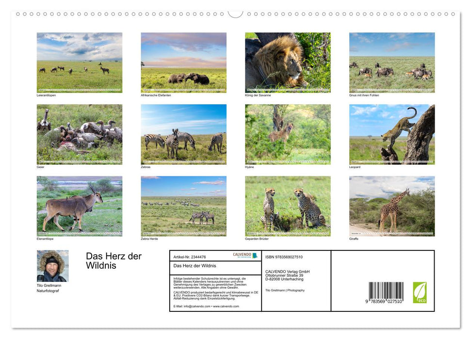 Das Herz der Wildnis (CALVENDO Premium Wandkalender 2027)