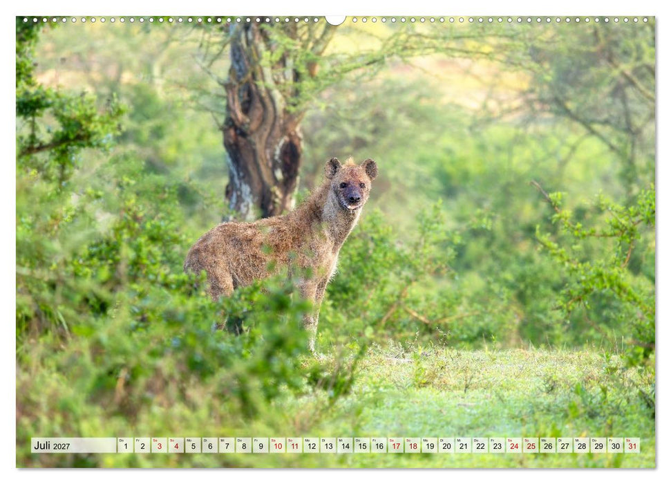 Das Herz der Wildnis (CALVENDO Premium Wandkalender 2027)