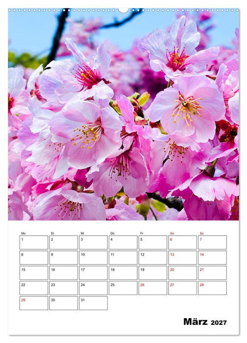 Japan Mit Dankbarkeit und Energie ins neue Jahr (CALVENDO Premium Wandkalender 2027)