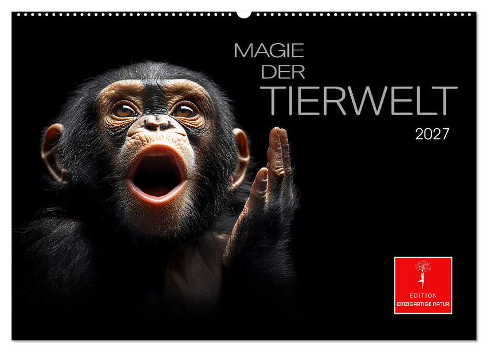 Magie der Tierwelt (CALVENDO Wandkalender 2027)
