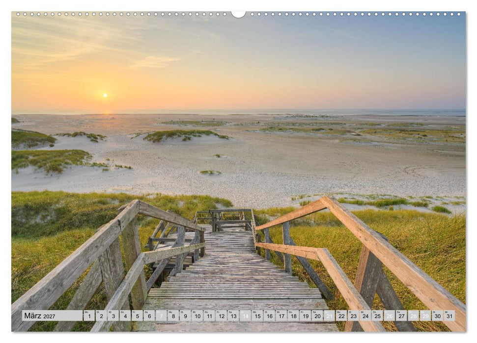 Wunderschönes Amrum (CALVENDO Wandkalender 2027)