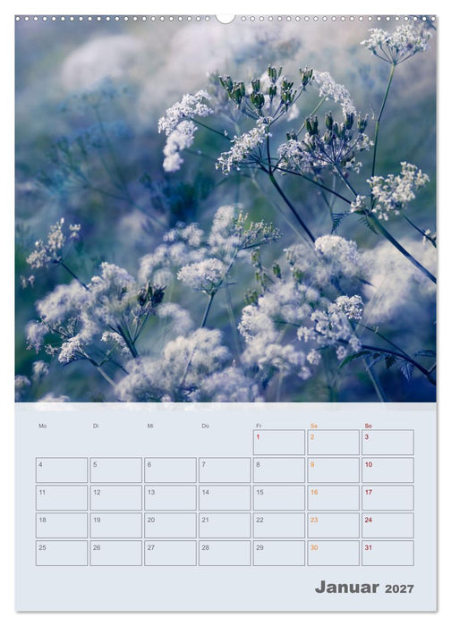 Magie im Garten (CALVENDO Wandkalender 2027)