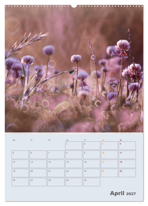 Magie im Garten (CALVENDO Wandkalender 2027)