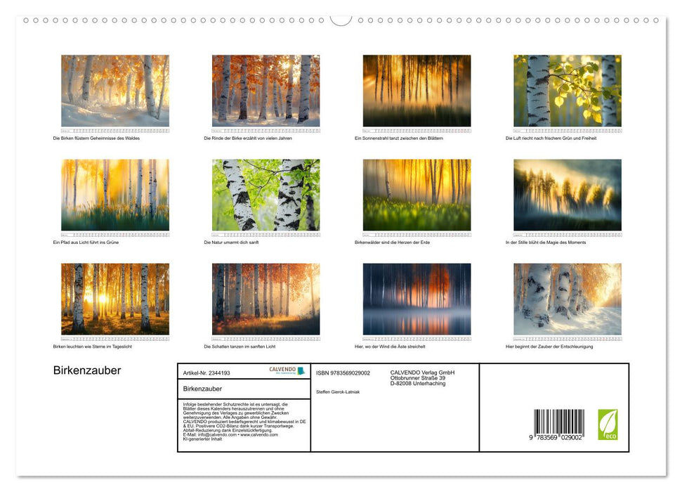 Birkenzauber (CALVENDO Premium Wandkalender 2027)