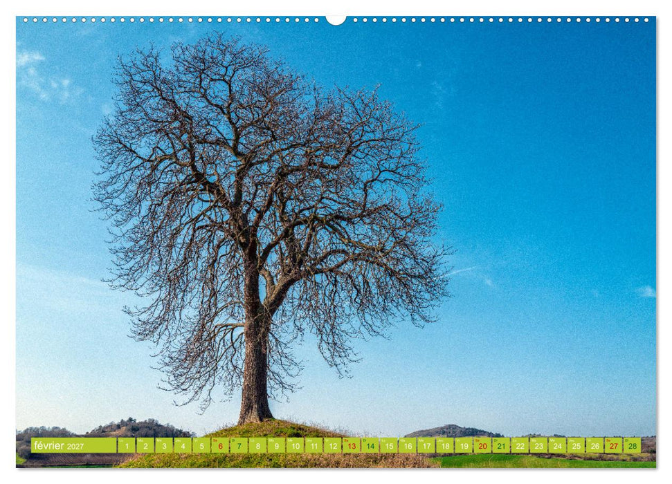 Solitude verdoyante (CALVENDO Calendrier supérieur 2027)