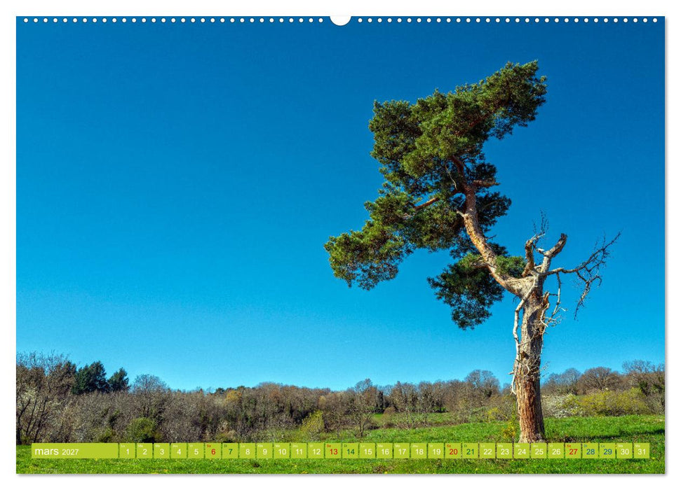 Solitude verdoyante (CALVENDO Calendrier supérieur 2027)
