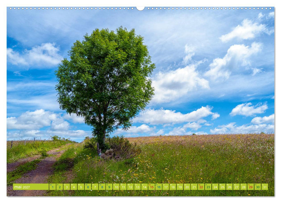 Solitude verdoyante (CALVENDO Calendrier supérieur 2027)