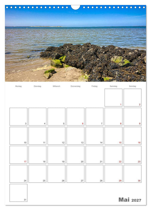 Föhr … verliebt in die Insel (CALVENDO Wandkalender 2027)