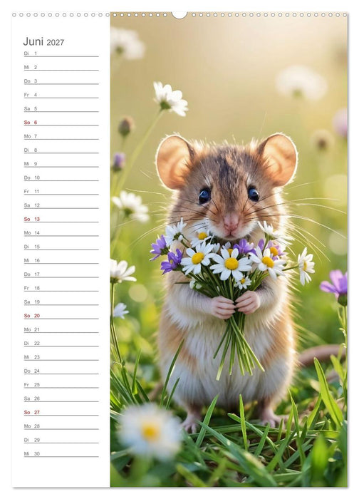 Ich hab an dich gedacht - Ein Geburtstagskalender voller kleiner Gesten (CALVENDO Premium Wandkalender 2027)