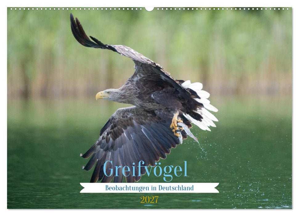 Greifer in Aktion (CALVENDO Wandkalender 2027)