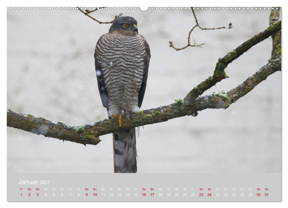 Greifer in Aktion (CALVENDO Wandkalender 2027)