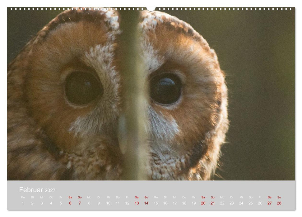 Greifer in Aktion (CALVENDO Wandkalender 2027)