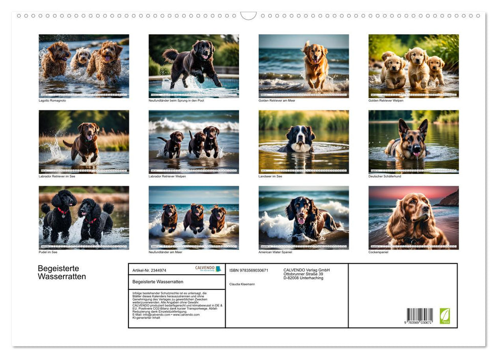 Begeisterte Wasserratten (CALVENDO Wandkalender 2027)