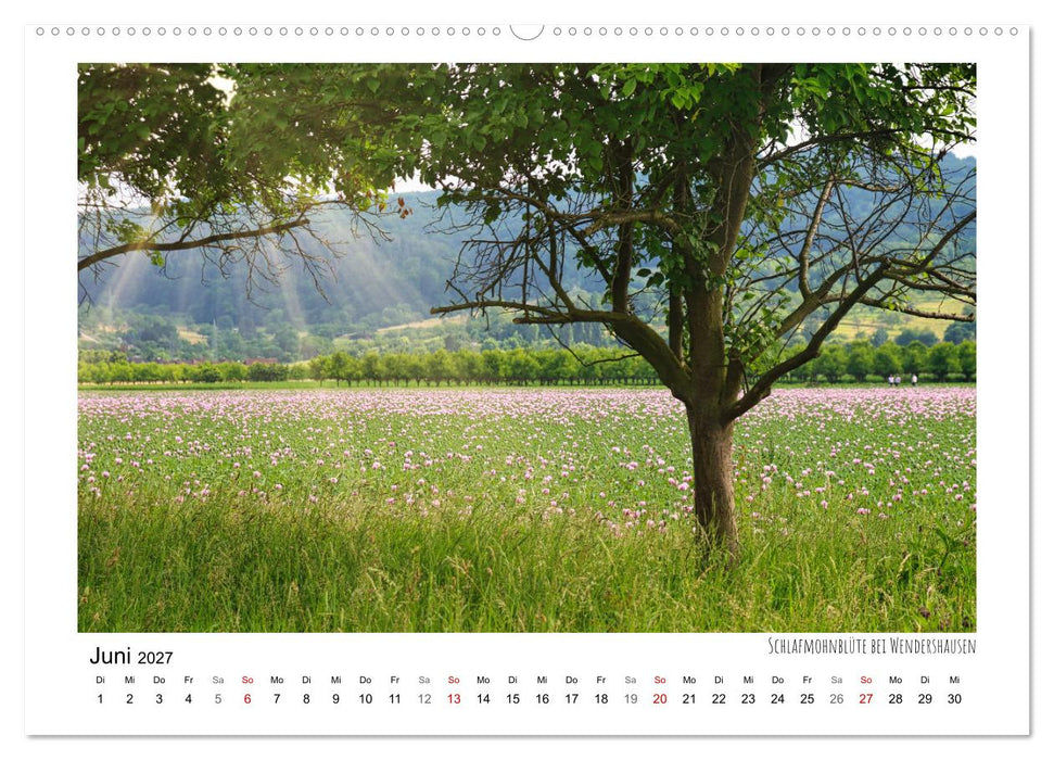Zauberhaftes Witzenhausen (CALVENDO Wandkalender 2027)