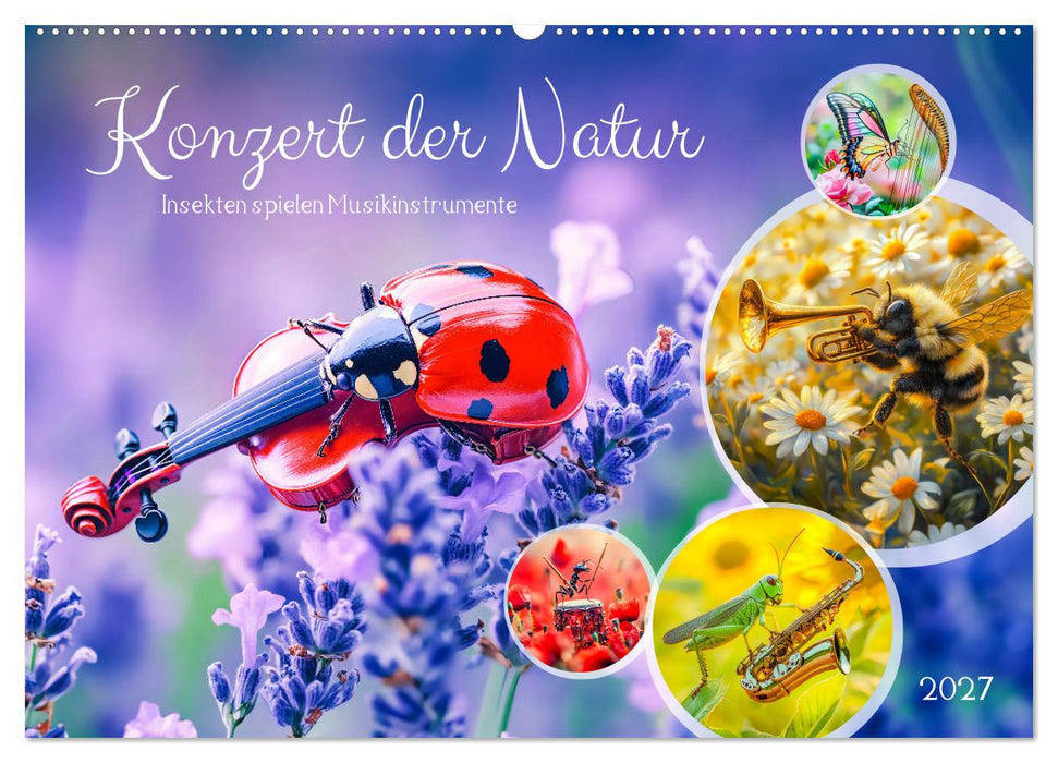 Konzert der Natur - Insekten spielen Musikinstrumente (CALVENDO Wandkalender 2027)