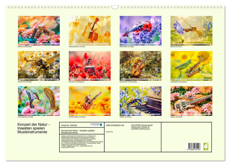 Konzert der Natur - Insekten spielen Musikinstrumente (CALVENDO Wandkalender 2027)