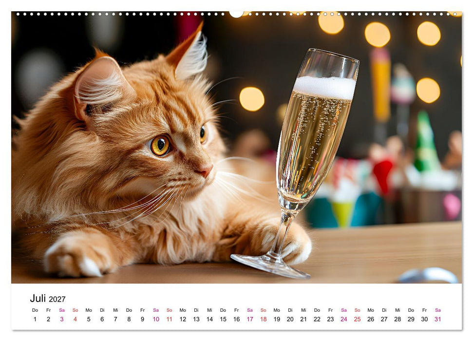 Katzenzauber - Samtpfoten im Jahreslauf (CALVENDO Premium Wandkalender 2027)