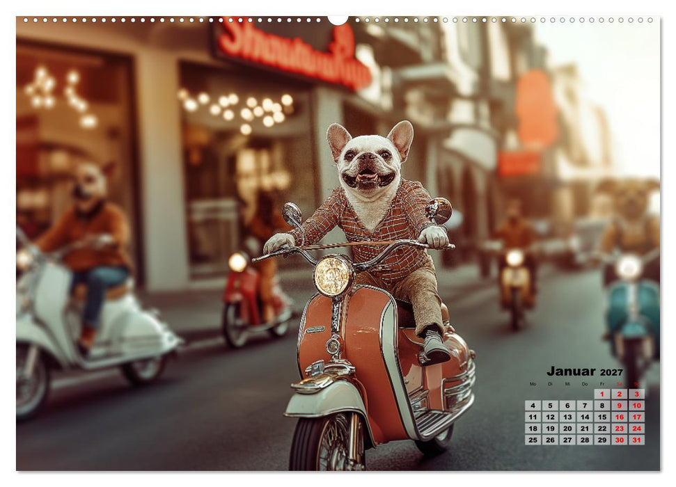 Süße Hunde cruisen - durch das Jahr mit dem Hundekalender (CALVENDO Premium Wandkalender 2027)