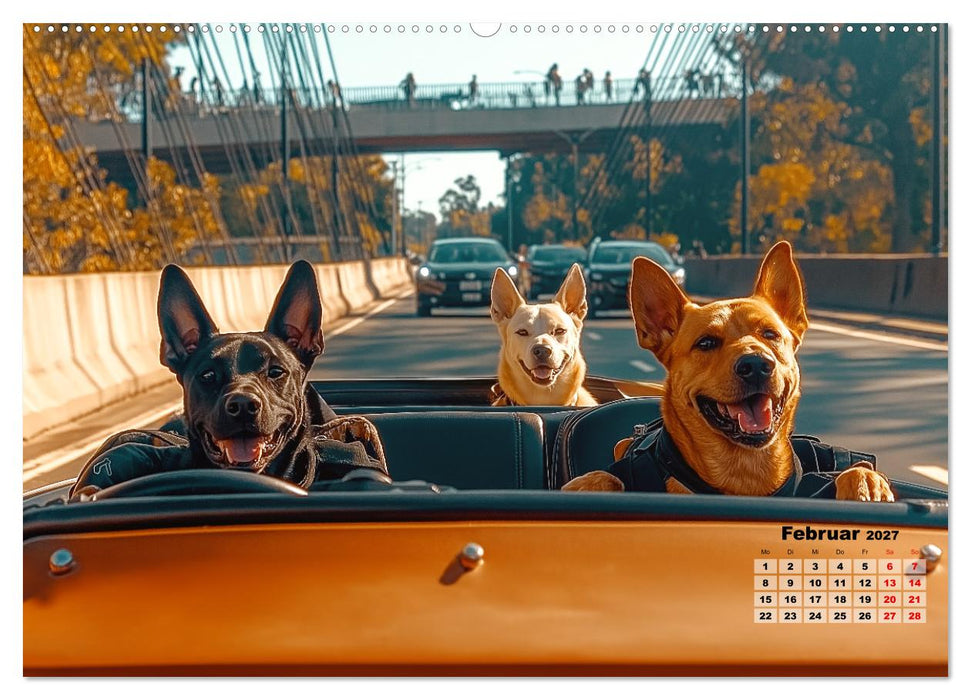 Süße Hunde cruisen - durch das Jahr mit dem Hundekalender (CALVENDO Premium Wandkalender 2027)