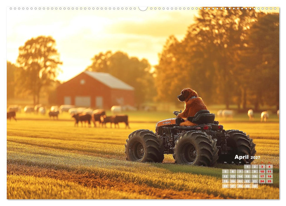 Süße Hunde cruisen - durch das Jahr mit dem Hundekalender (CALVENDO Premium Wandkalender 2027)