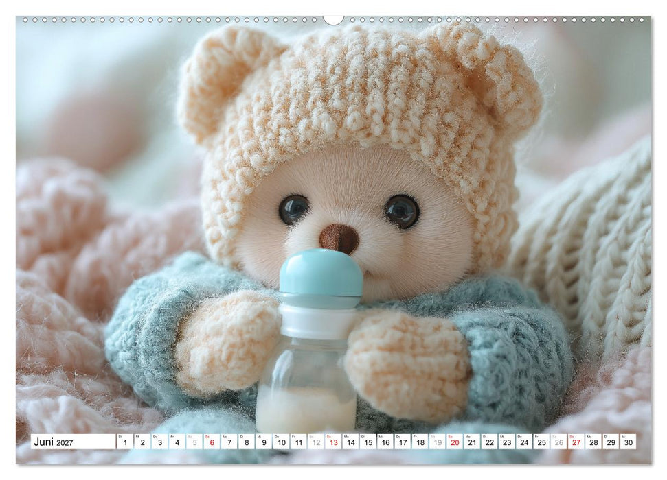 Teddy Babykalender - Jeden Monat zum Knuddeln süß (CALVENDO Premium Wandkalender 2027)