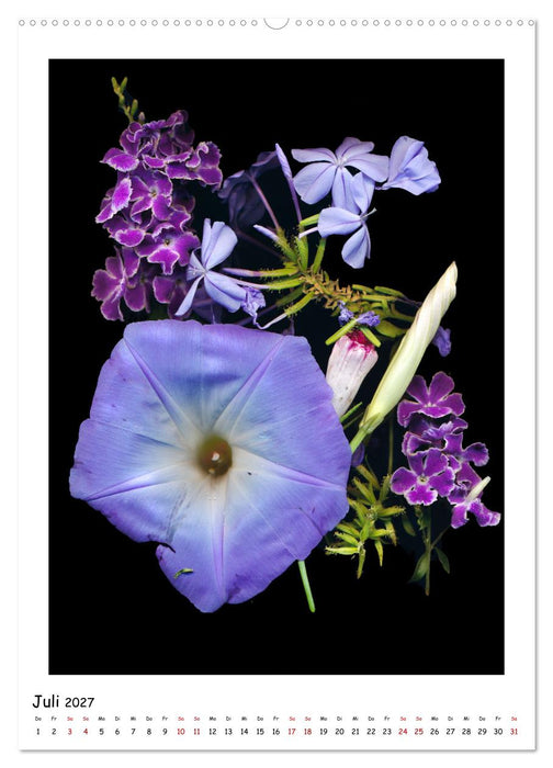 Blüten, toxisch aber wunderschön (CALVENDO Premium Wandkalender 2027)