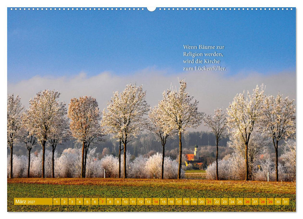 Rollentausch – Bebilderte Wortspielereien (CALVENDO Wandkalender 2027)