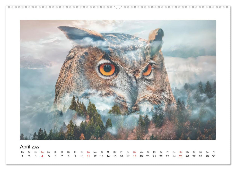 Tierisch wilde Waldbewohner (CALVENDO Wandkalender 2027)