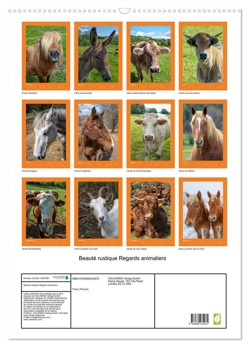Beauté rustique Regards animaliers (CALVENDO Calendrier mensuel 2027)