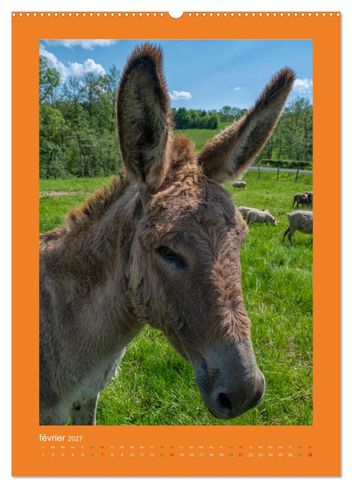 Beauté rustique Regards animaliers (CALVENDO Calendrier mensuel 2027)