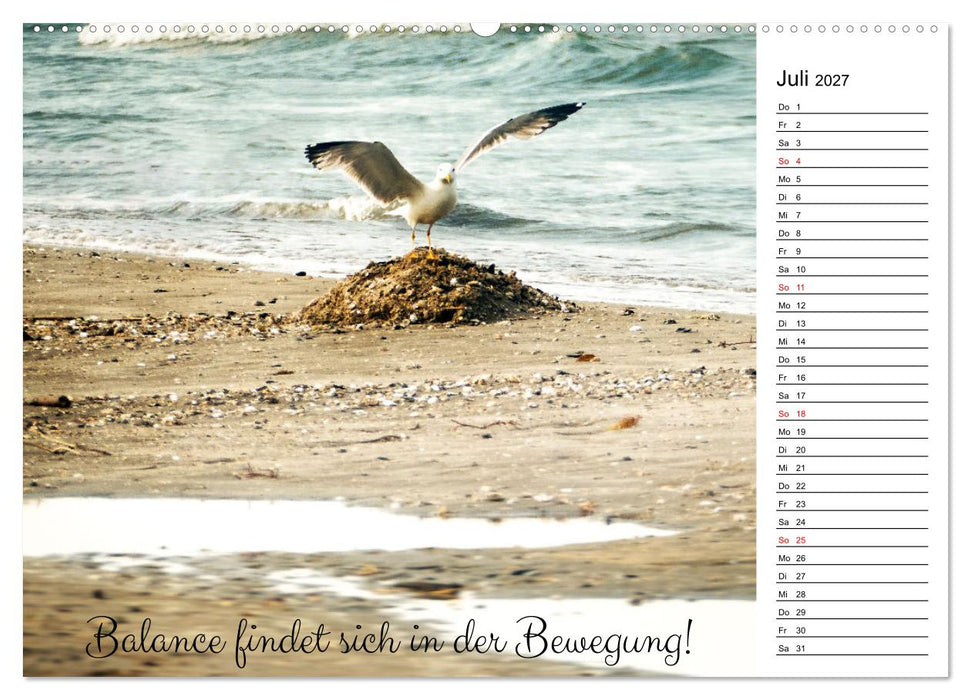 Lebensweisheiten der Möwe - Im Flug des Lebens (CALVENDO Premium Wandkalender 2027)
