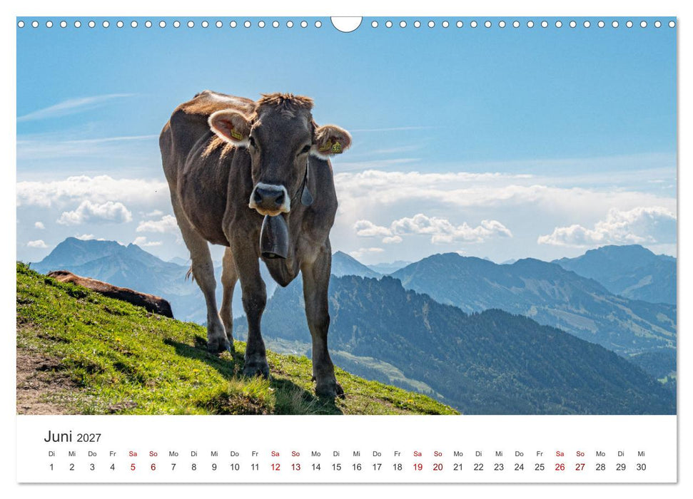 Naturwunder Berge (CALVENDO Wandkalender 2027)