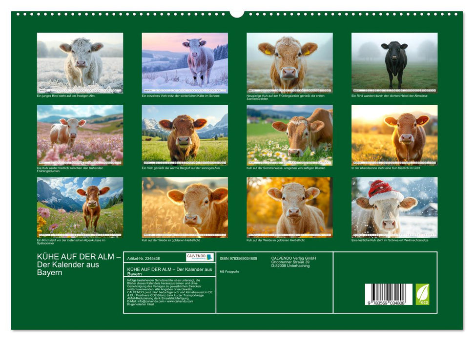 KÜHE AUF DER ALM – Der Kalender aus Bayern (CALVENDO Premium Wandkalender 2027)