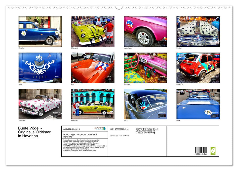 Bunte Vögel - Originelle Oldtimer in Havanna (CALVENDO Wandkalender 2027)