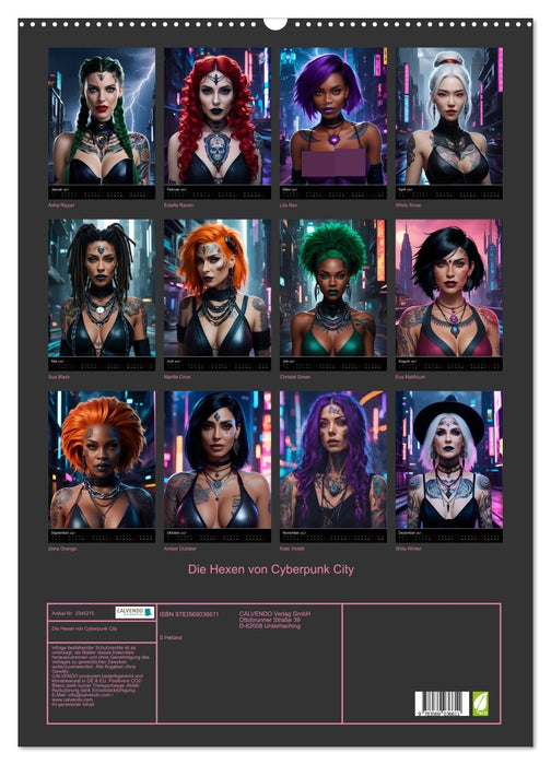 Die Hexen von Cyberpunk City (CALVENDO Wandkalender 2027)