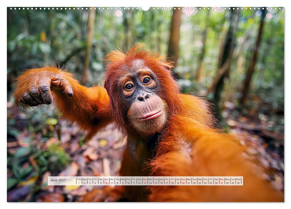 Selfie Shot (CALVENDO Monthly Calendar 2027)