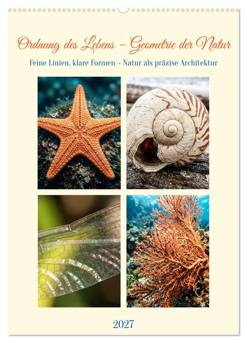 Ordnung des Lebens – Geometrie der Natur - Feine Linien, klare Formen – Natur als präzise Architektur (CALVENDO Wandkalender 2027)