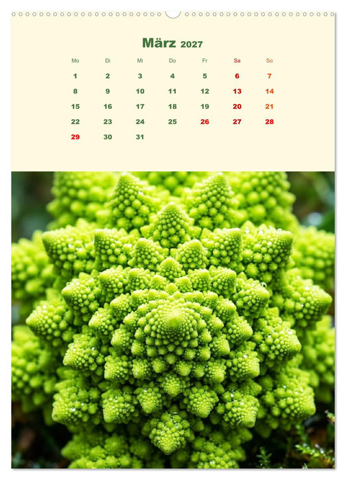 Ordnung des Lebens – Geometrie der Natur - Feine Linien, klare Formen – Natur als präzise Architektur (CALVENDO Wandkalender 2027)