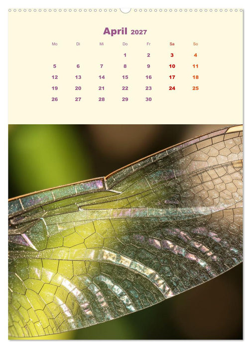 Ordnung des Lebens – Geometrie der Natur - Feine Linien, klare Formen – Natur als präzise Architektur (CALVENDO Wandkalender 2027)